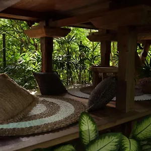  Lodge Roots Tree House Indonesia